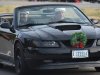 13th Annual Providence Forge Christmas Parade: Dec. 11, 2022