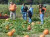 2012 Holly Fork Pumpkin Patch Harvest Hoedown
