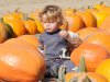 2012 Holly Fork Pumpkin Patch Harvest Hoedown