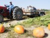 2012 Holly Fork Pumpkin Patch Harvest Hoedown