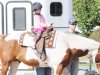 2012 Holly Fork Pumpkin Patch Harvest Hoedown