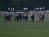 2013 Virginia Derby