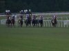 2013 Virginia Derby