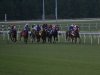 2013 Virginia Derby