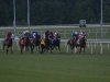 2013 Virginia Derby