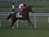 2013 Virginia Derby