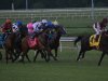 2013 Virginia Derby