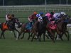 2013 Virginia Derby
