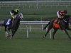 2013 Virginia Derby
