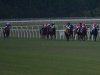 2013 Virginia Derby