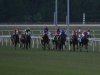 2013 Virginia Derby