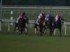 2013 Virginia Derby