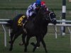 2013 Virginia Derby