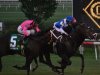 2013 Virginia Derby
