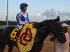 2013 Virginia Derby