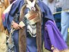 64th Annual Chickahominy pow-wow