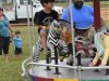 Charles City County Fair 2018