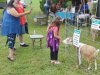 New Kent County Fair- Aug. 12, 2017