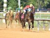 Opening Day at Colonial Downs: Aug. 8, 2019