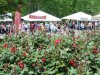 A Taste of New Kent Wine Festival 2013