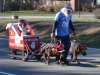 Charles City Christmas Parade 12-19-2015