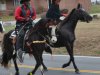 Charles City Christmas Parade 2012