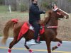 Charles City Christmas Parade 2012