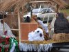 Charles City Christmas Parade 2012