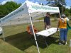 Charles City Community Day 2015