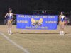 Charles City High School Homecoming 2015