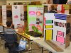 Fourth annual New Kent Elementary School Science Fair: Mar. 1, 2016