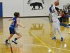 Girls Basketball: Mathews at Charles City 2-22-14 (Conference 42 Championship)