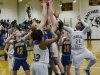 Girls Basketball: Mathews at Charles City 2-22-14 (Conference 42 Championship)