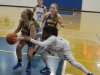 Girls Basketball: Mathews at Charles City 2-22-14 (Conference 42 Championship)