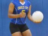 Girls Volleyball: Mathews at Charles City 10-8-2015