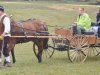 Historical Reenactment at Cumberland Plantation 10-11-14