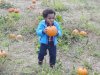 Holly Fork Hoedown 10-17-2015