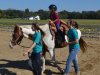 Holly Fork Hoedown 10-18-14