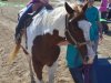 Holly Fork Hoedown 10-18-14