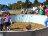 Holly Fork Hoedown 10-18-14