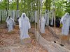 Journey Trails Haunt