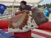 New Kent County Fair 2013