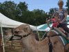 New Kent County Fair 2013