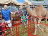 New Kent County Fair 2014