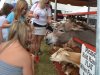 New Kent County Fair 2014
