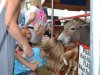 New Kent County Fair 2014