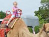 New Kent County Fair 2014