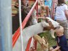 New Kent County Fair 2014