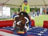 New Kent County Fair 2014