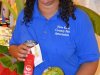 New Kent County Fair 2015